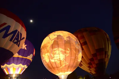 DSC_2421 (Large).JPG